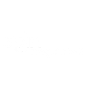 Spin