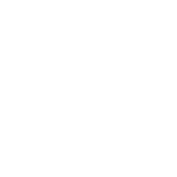 the body shop