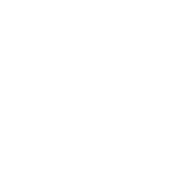 the home depot