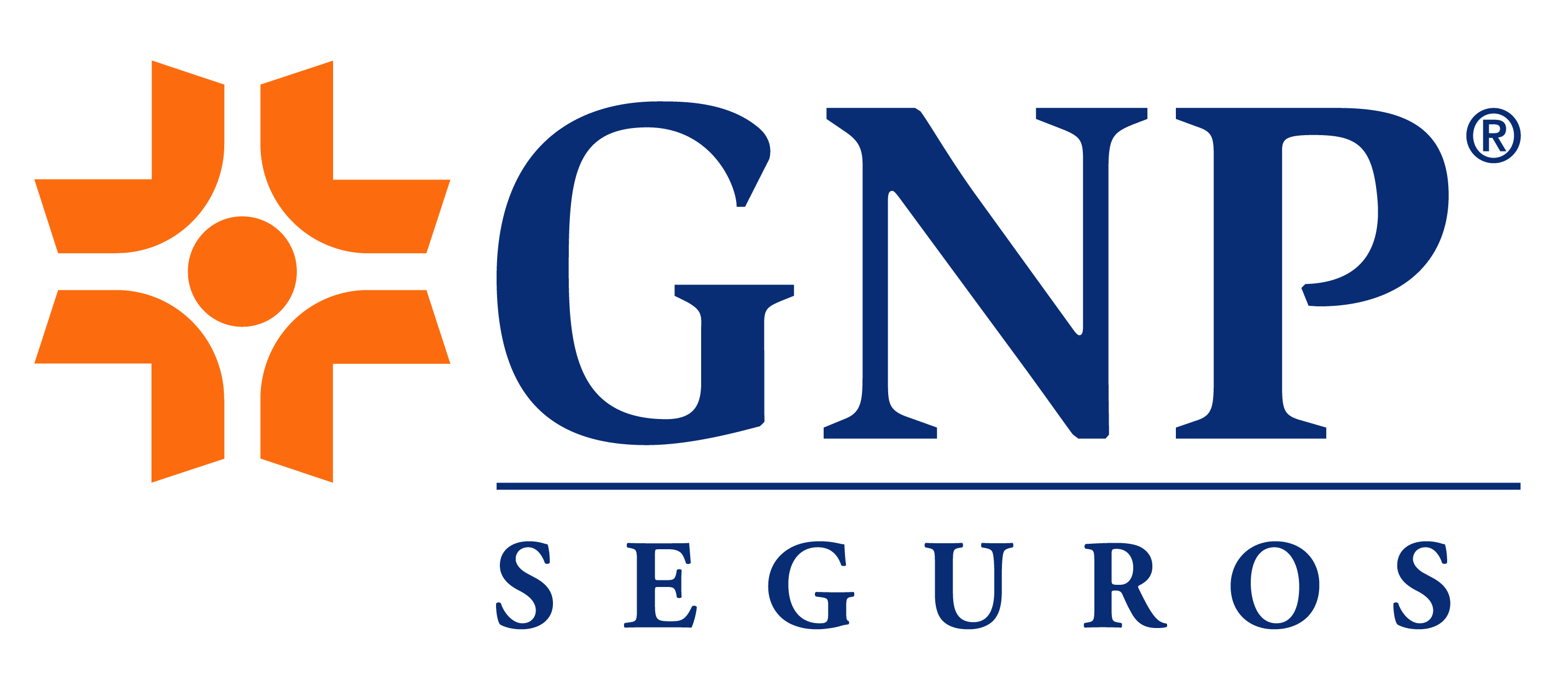logo gnp